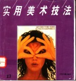 实用美术技法 13