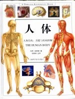 人体 人体结构、功能与疾病图解