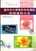 国内外大屏幕彩色电视机故障速修大全