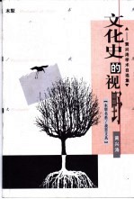 文化史的视野 黄兴涛学术自选集