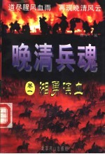 晚清兵魂 卷1 湘勇喋血