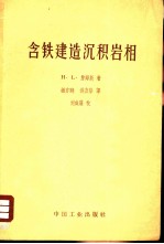 含铁建造沉积岩相