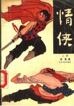 情侠 上部