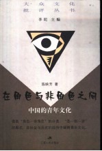 在角色与非角色之间 中国的青年文化