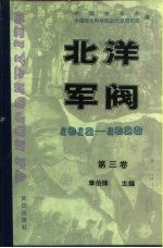 北洋军阀 1912-1928 第三卷 皖系军阀与日本