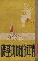 青年的成功基础