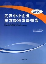 2007年武汉中小企业民营经济发展报告