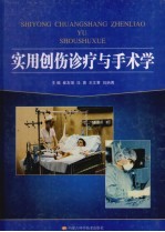 实用创伤诊疗与手术学