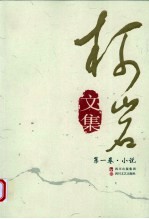 柯岩文集 第1卷 小说
