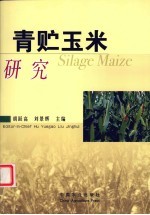 青贮玉米研究