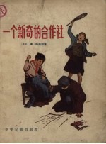 一个新奇的合作社