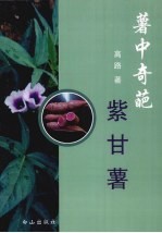 薯中奇葩 紫甘薯