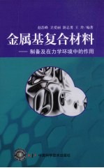 金属基复合材料 制备及在力学环境中的作用