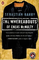THE WBEREABOUTS OF ENEAS MCNULTY