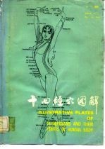 针灸穴名国际标准化361个经穴汉语拼音·英文代号对照 针灸腧穴学大专培训教材 十四经穴图解-附58