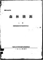 森林能源 上