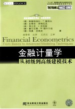 金融计量学 从初级到高级建模技术