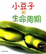 成长记 小豆子的生命周期