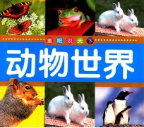 童眼识天下 动物世界