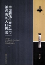 北大社会学 中国的低生育水平与被忽略的人口风险