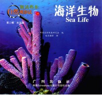 新法布尔自然观察法 19 第2辑 水王国 海洋生物