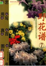 野花谱 7