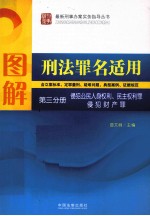 图解刑法罪名适用 第3分册 侵犯公民人身权利、民主权利罪、侵犯财产罪