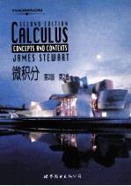 微积分 第2版 第2卷