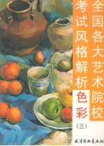 全国各大艺术院校考试风格解析 色彩 3