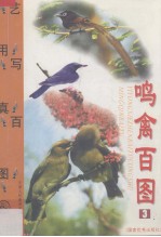 鸣禽百图 3