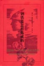 钢铁是怎样炼成的