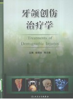 牙颌创伤治疗学