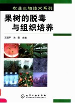 果树的脱毒与组织培养