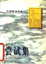 尝试集