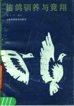 信鸽驯养与竞翔