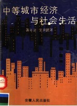 中等城市经济与社会生活