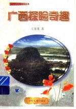 广西探险奇趣 在热带森林里