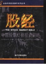 股经:中国股票终极投资策略 第2卷
