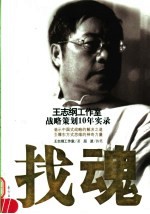 找魂:王志纲工作室战略策划10年实录