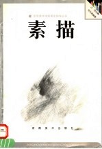 素描