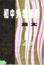 初中升学辅导 语文