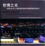 世博之光 中国2010上海世博会园区夜景照明走读笔记