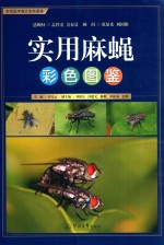 实用麻绳 彩色图鉴