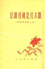 总路线就是红太阳 创作歌选第二集
