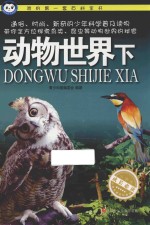 动物世界 下