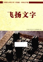 中国大百科全书 普及版 中国文学卷 飞扬文字