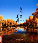 行走中的美丽