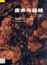 废弃与超越 孙嘉平摄影艺术