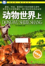 动物世界 上