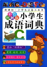 小学生成语词典 彩色图解版